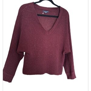 American Eagle Burgundy V-Neck Sweater
